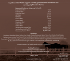 Equithrive Gut Digestive Support Pellets for Horses
