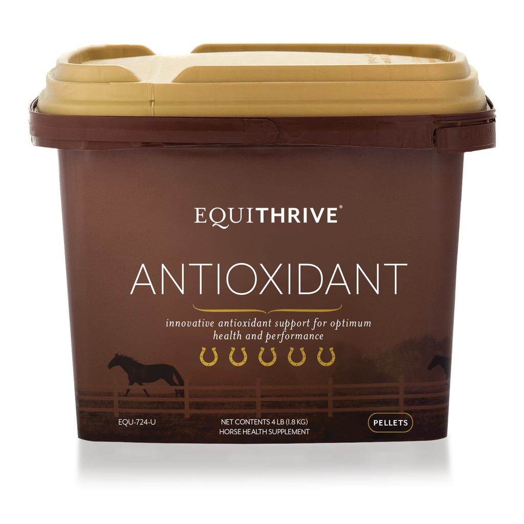 Equithrive Antioxidant Pellets for Performance Horses