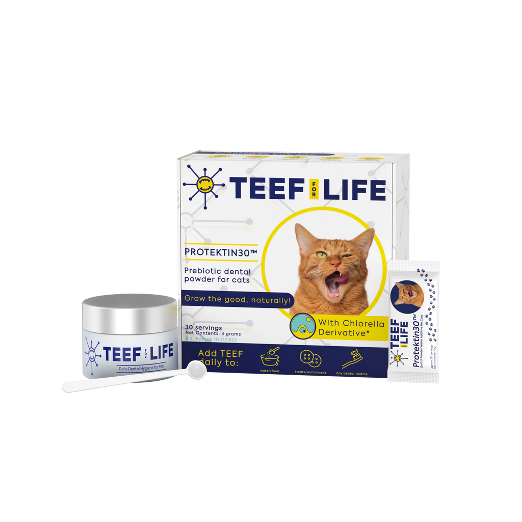 TEEF for Life Protektin30 Kit: Prebiotic Dental Powder for Cats