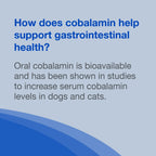 Nutramax Cobalequin B12 Chewable Tablets for Dogs & Cats, 45 ct