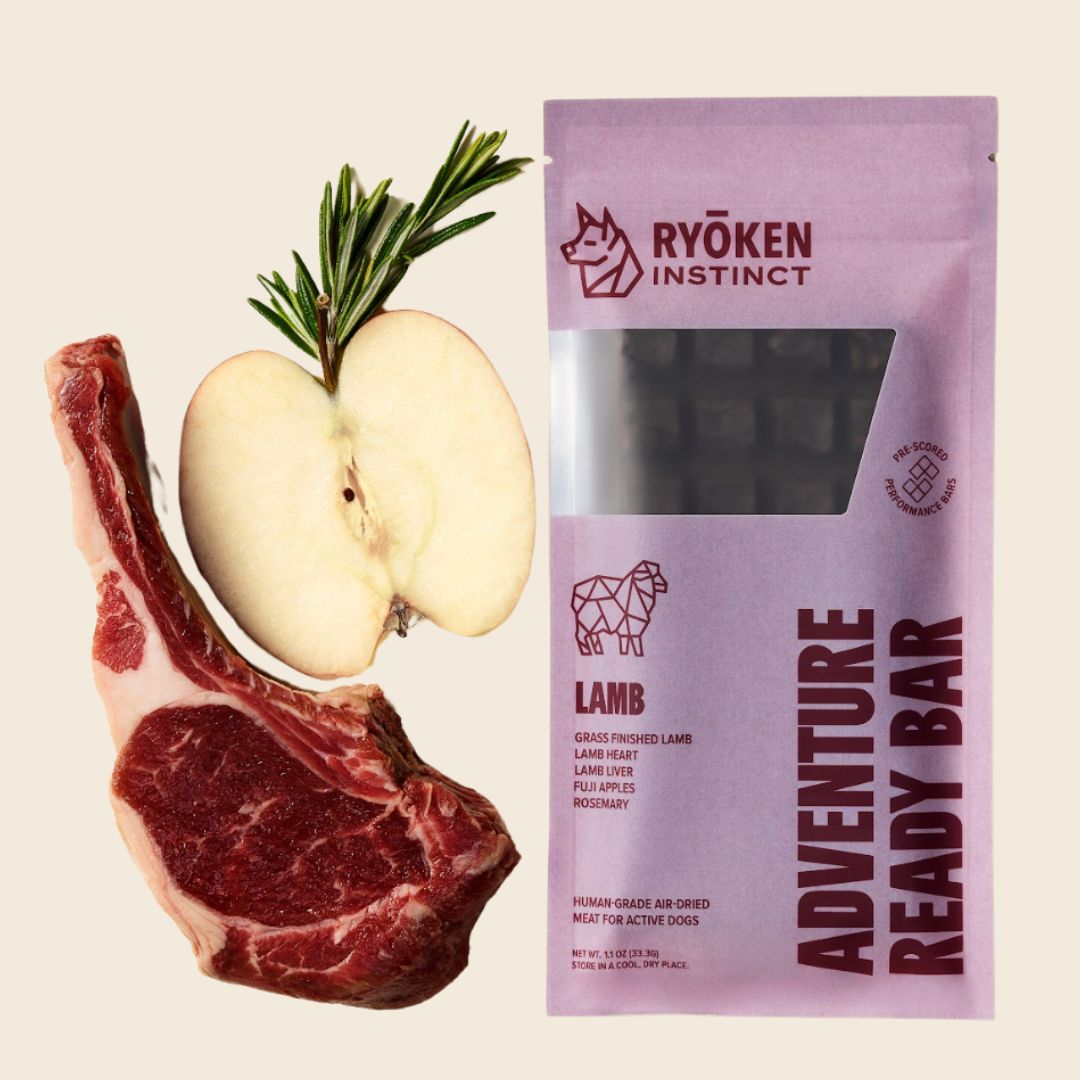Ryōken Treat & Snack Bar for Active Dogs: Energy & Recovery