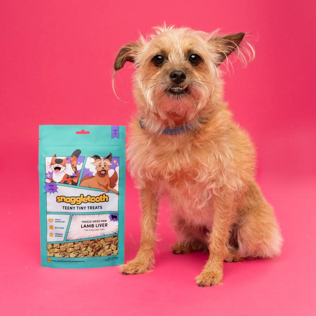 Snaggletooth Teeny Tiny Treats, 2oz Bag