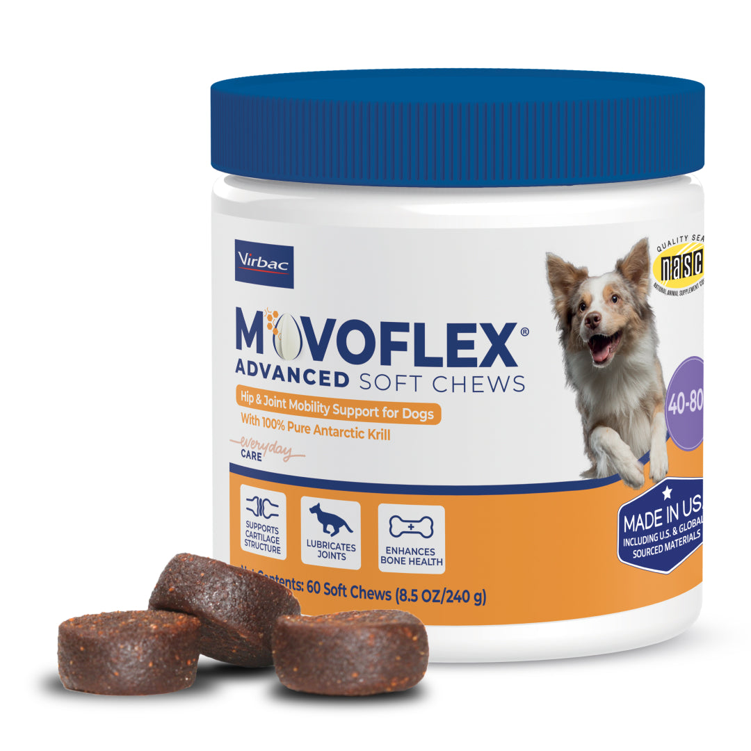 MovoFlex Advanced Joint Support Soft Chews for Dogs, 60ct