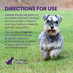 Nutramax Denamarin Liver Support Tablets for Dogs & Cats, 30 ct