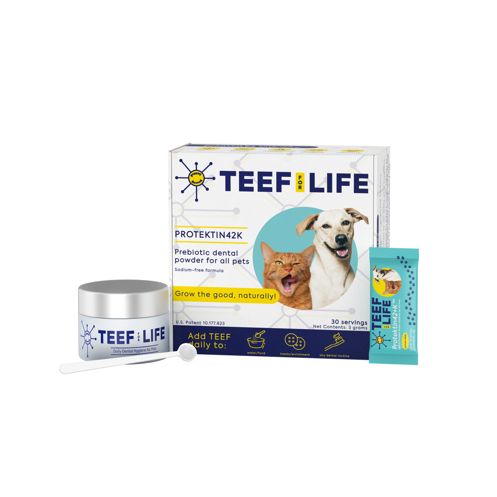 TEEF for Life Protektin42K Kit: Prebiotic Dental Powder for all pets (Sodium-free)