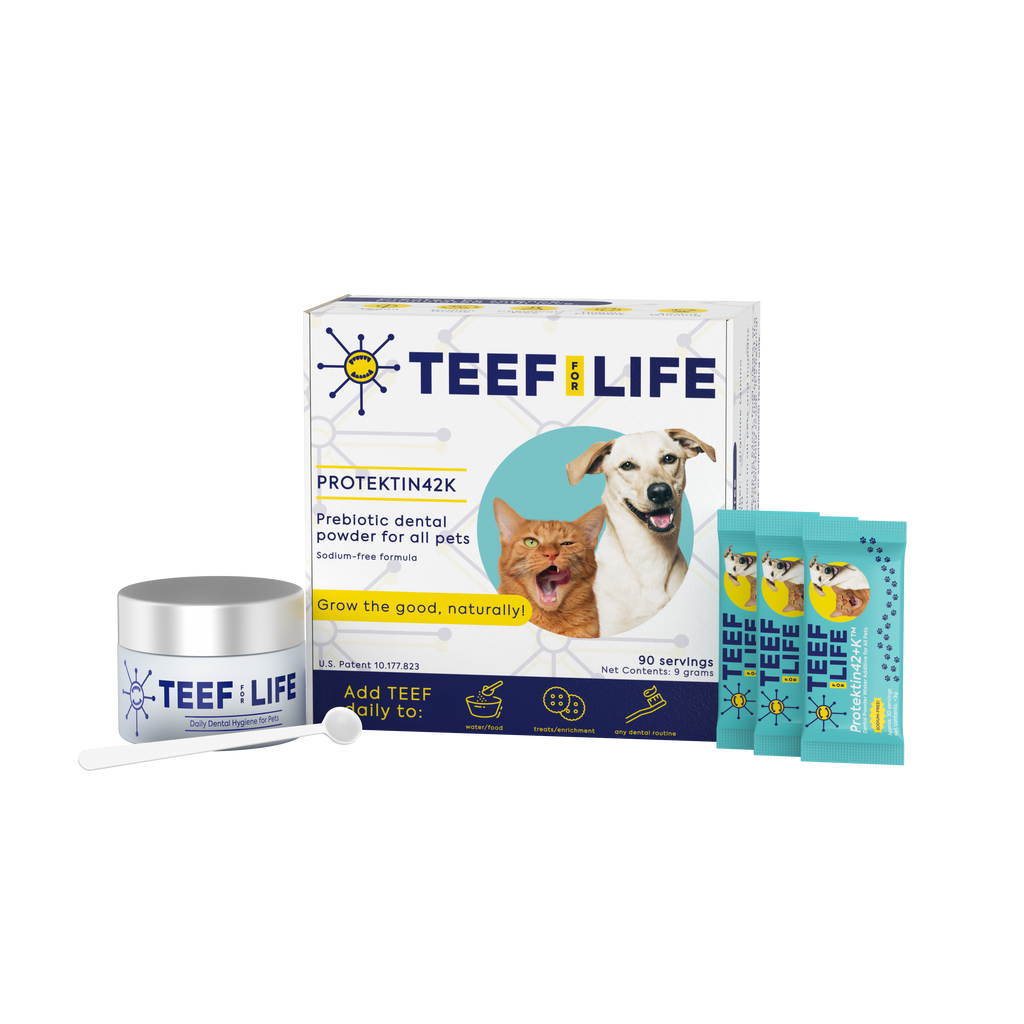 TEEF for Life Protektin42K Kit: Prebiotic Dental Powder for all pets (Sodium-free), 30 servings
