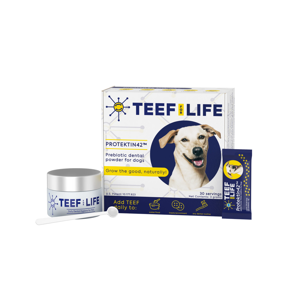TEEF for Life Protektin42 Kit: Prebiotic Dental Powder for Dogs