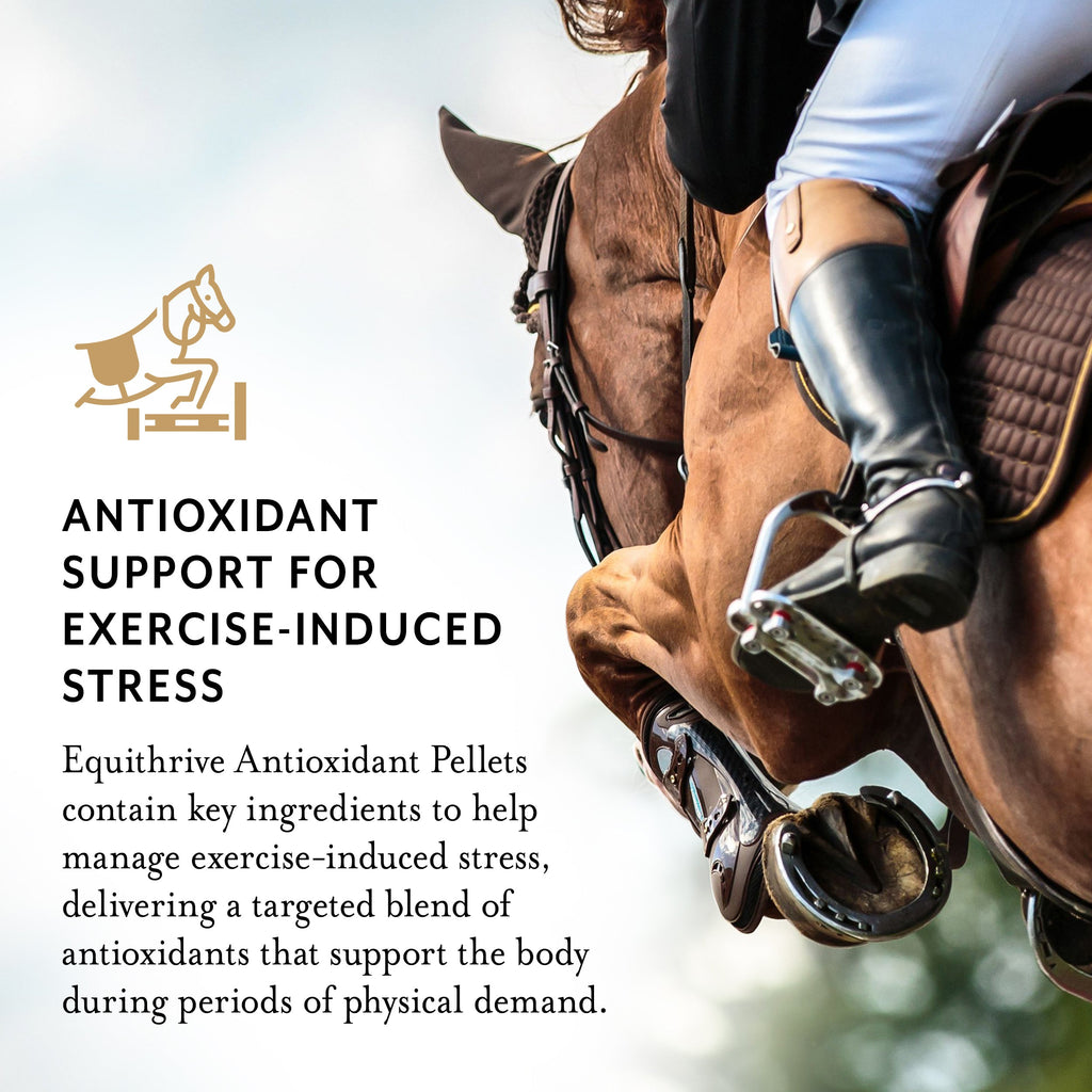 Equithrive Antioxidant Pellets for Performance Horses