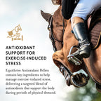 Equithrive Antioxidant Pellets for Performance Horses