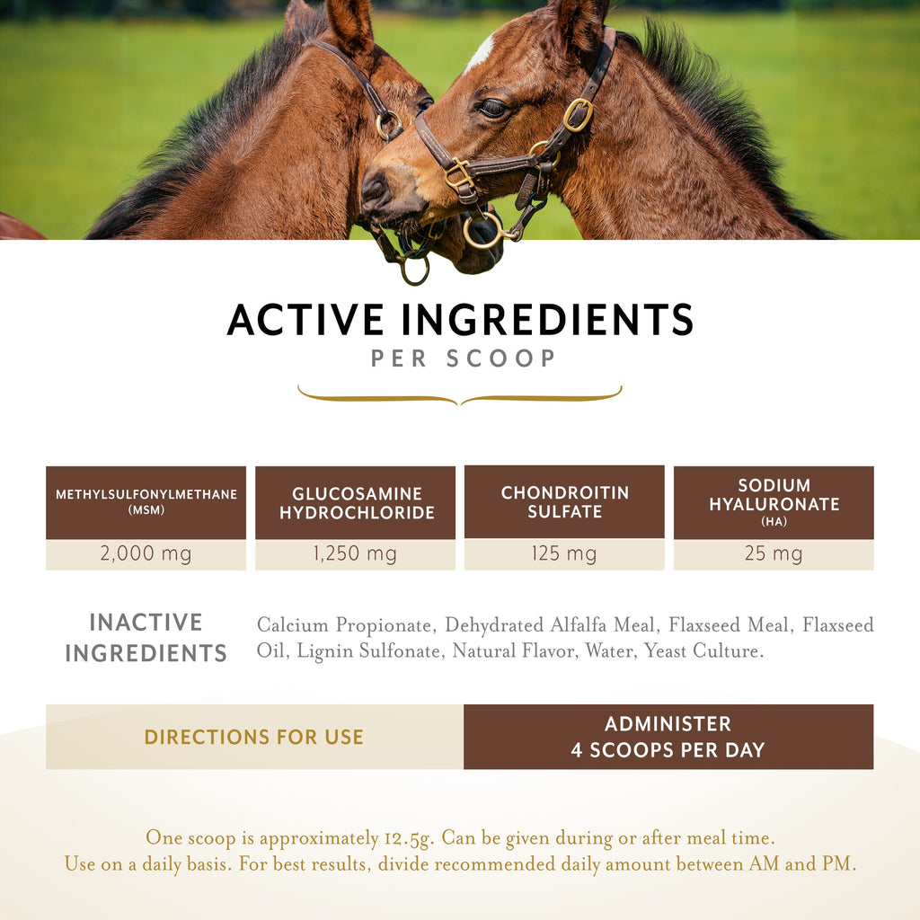 Equithrive Classic Joint Pellets for Horses