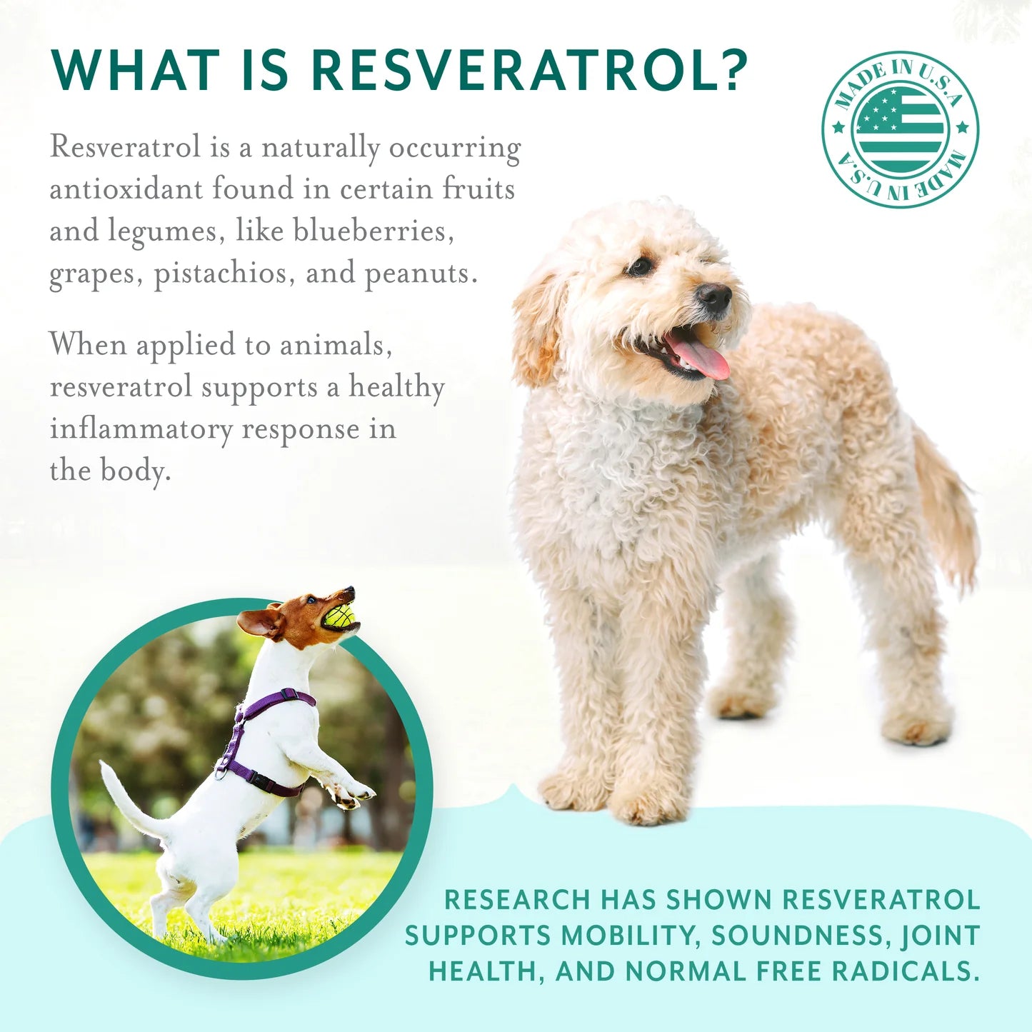 PetThrive Soft Chews with Resveratrol for Dogs