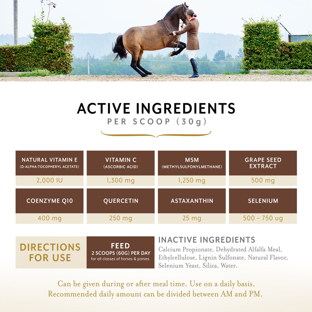 Equithrive Antioxidant Pellets for Performance Horses
