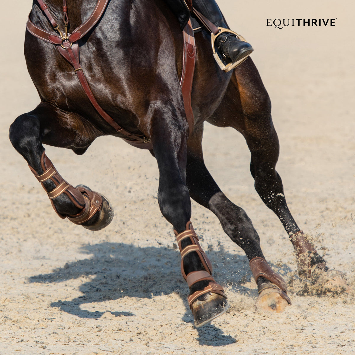 Equithrive Antioxidant Pellets for Performance Horses
