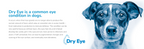 Ocunovis ProCare BioHAnce Lubricating Gel Eye Drops for Dogs & Cats, 5 mL