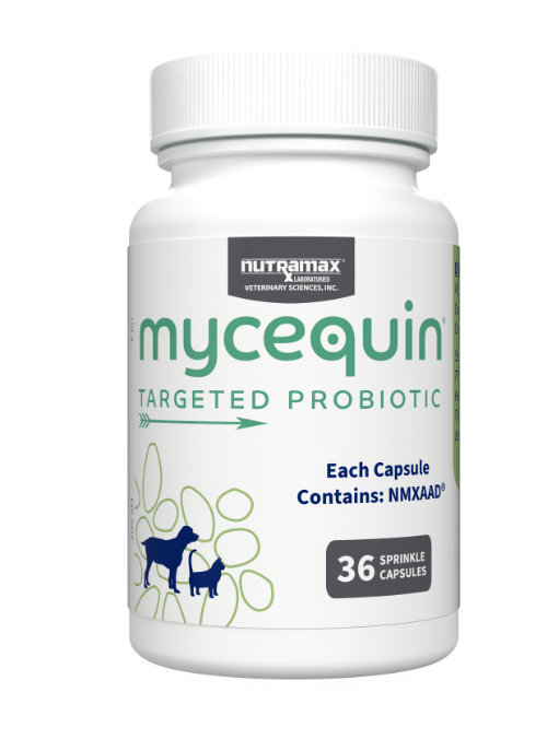 Nutramax Mycequin Targeted Yeast Probiotic sprinkle capsules, 36 ct