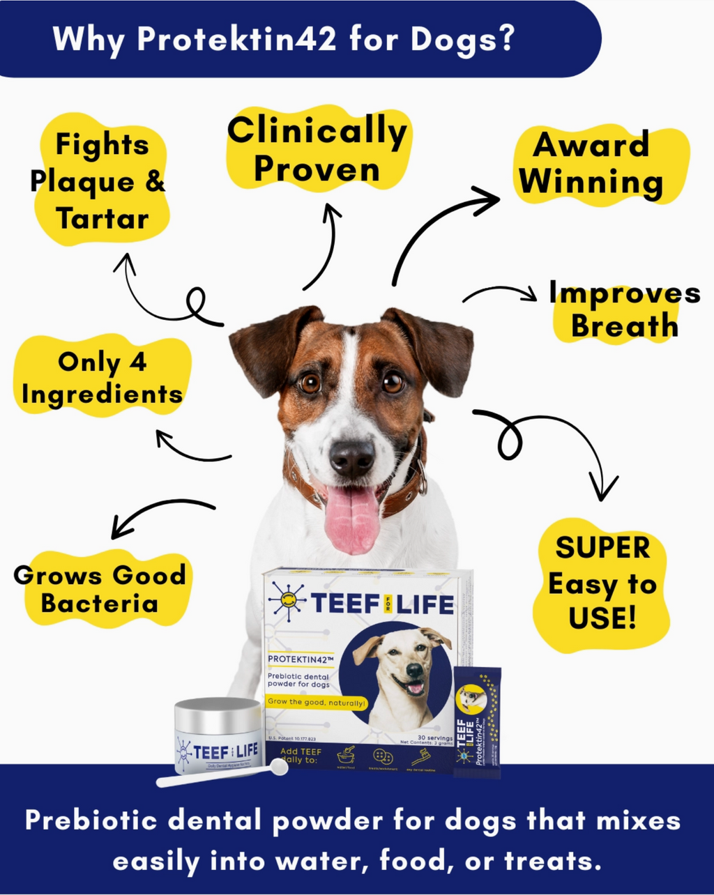 TEEF for Life Protektin42 Kit: Prebiotic Dental Powder for Dogs