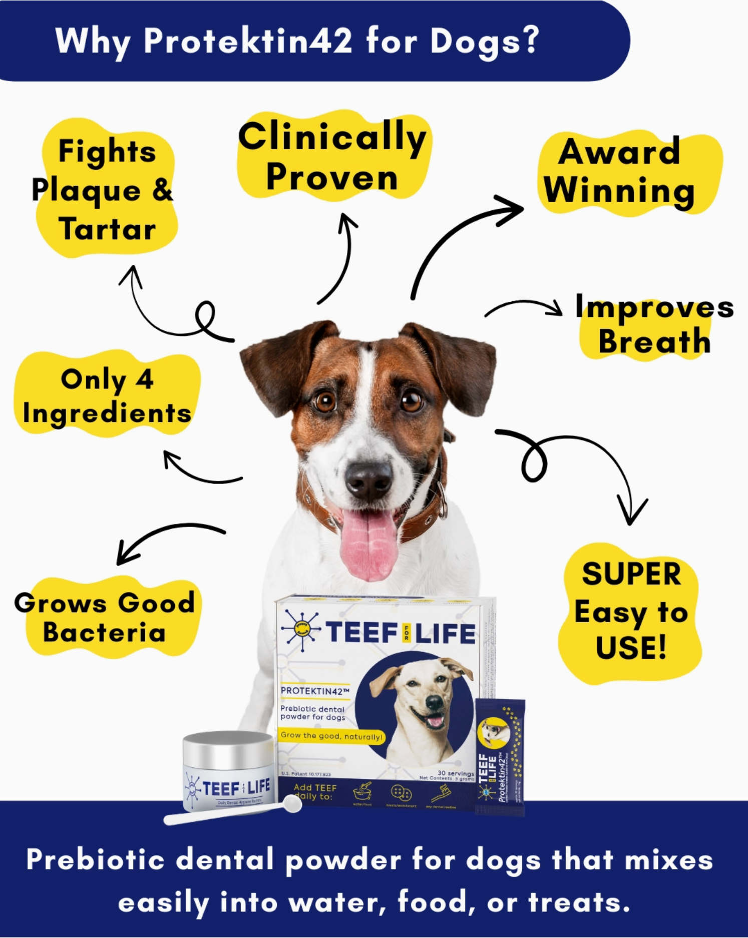 TEEF for Life Protektin42 Kit: Prebiotic Dental Powder for Dogs
