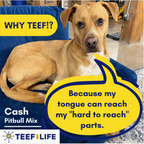 TEEF for Life Protektin42K Sodium-Free Prebiotic Dental Powder Kit for Dogs & Cats