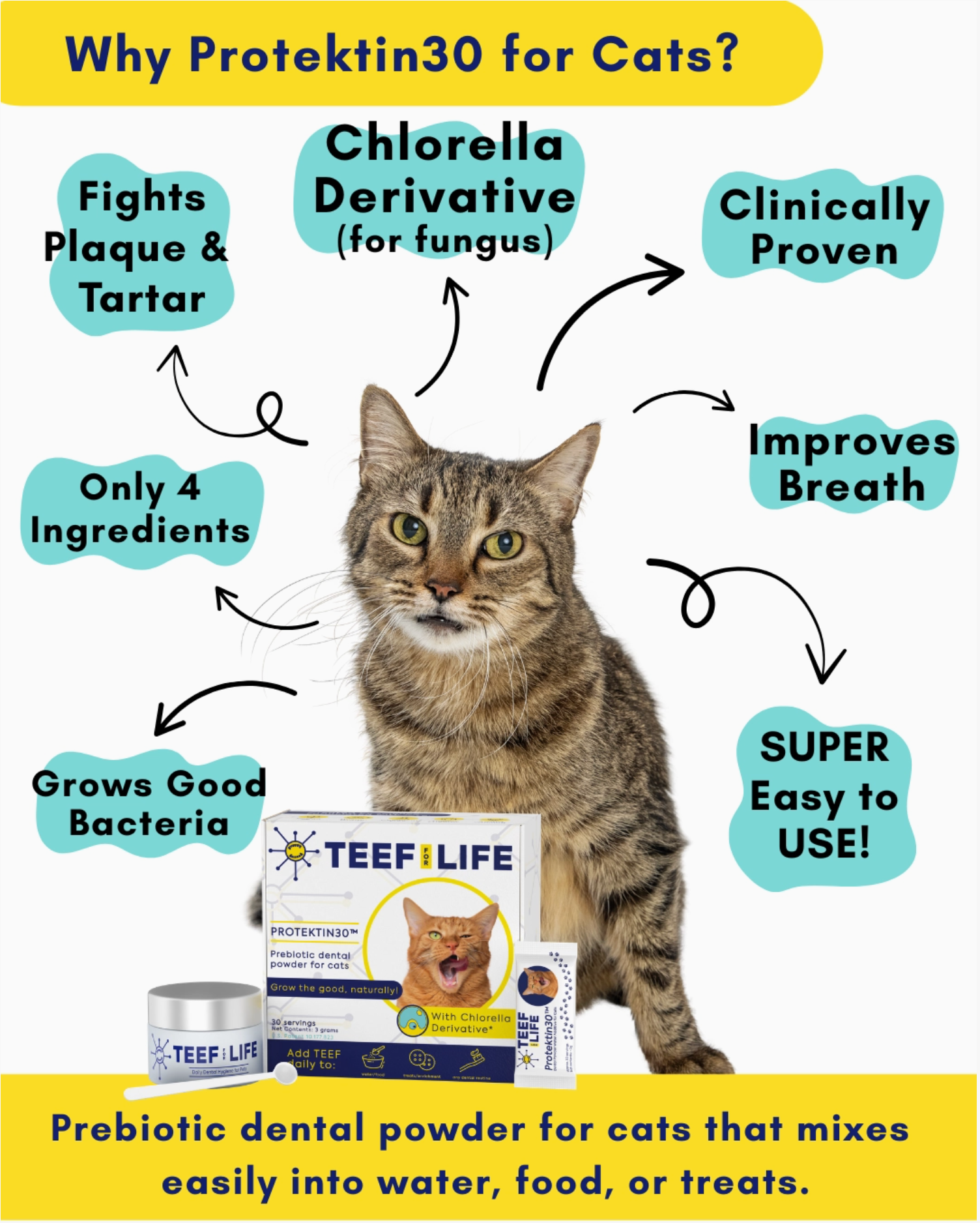 TEEF for Life Protektin30 Kit: Prebiotic Dental Powder for Cats