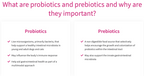 Nutramax Proviable-DC Probiotic Capsules for Dogs & Cats, 30 ct
