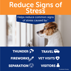 ThunderWunders Calming Soft Chews for Dogs, 60 ct