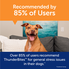 ThunderWunders Calming Soft Chews for Dogs, 60 ct