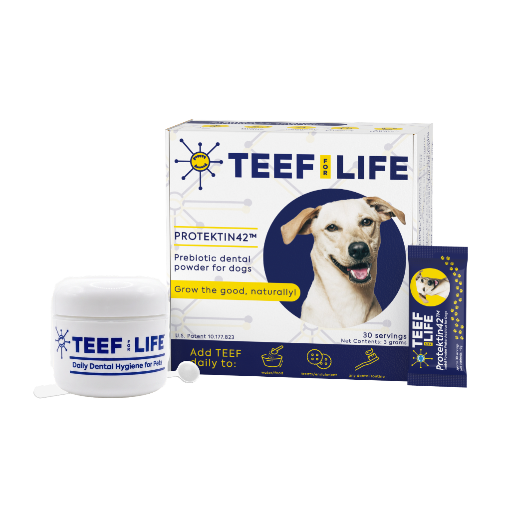 Dental Kits: Protektin42™ - Prebiotic Dental Powder for dogs