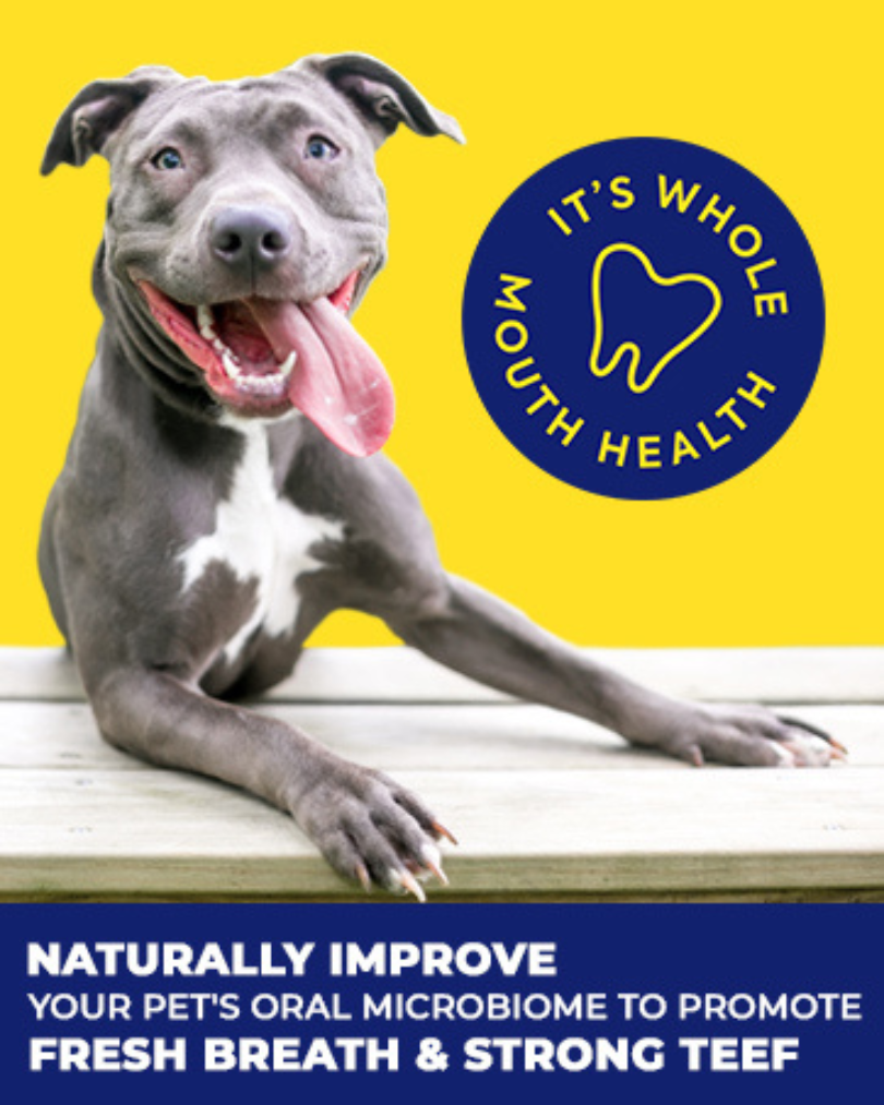 TEEF for Life Protektin42K Kit: Prebiotic Dental Powder for all pets (Sodium-free), 30 servings