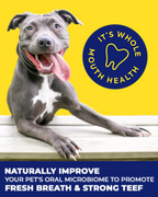 TEEF for Life Protektin42K Sodium-Free Prebiotic Dental Powder Kit for Dogs & Cats