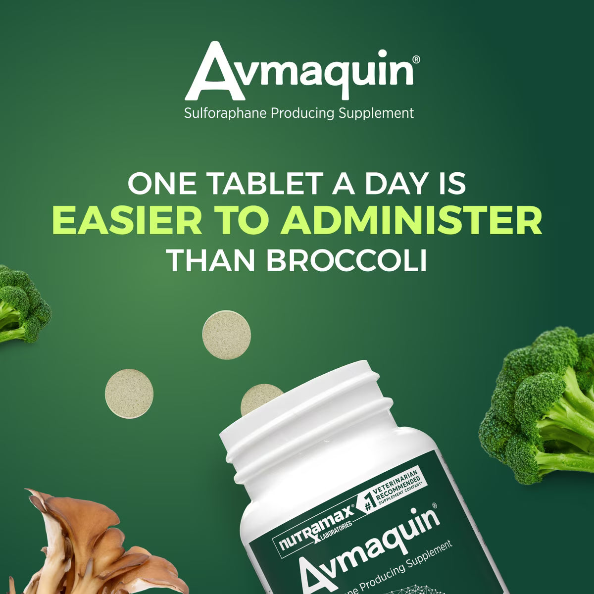 Nutramax Avmaquin Tablets for Dogs, 45ct