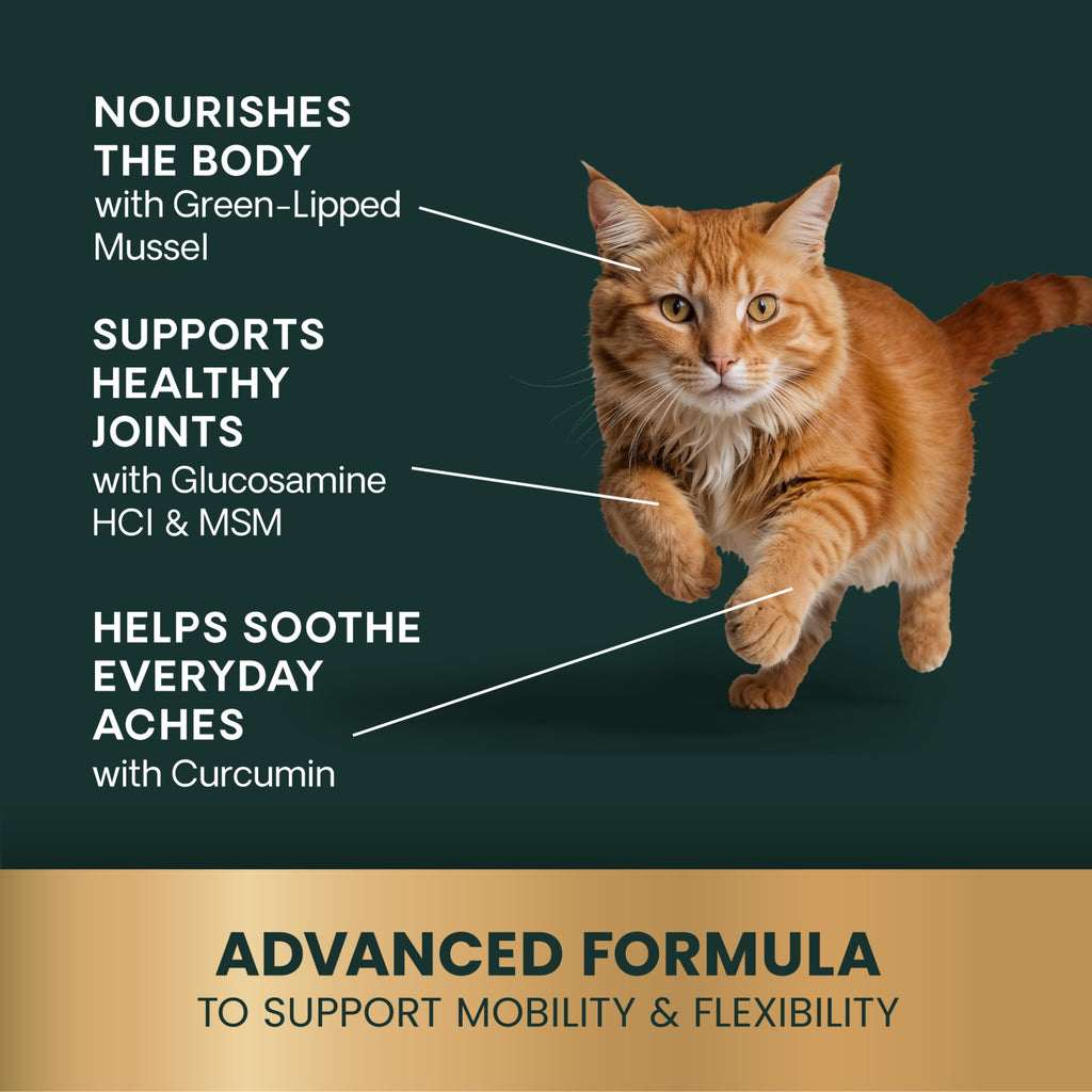 Vetriscience Veterinary Strength Healthy Hip & Joint (VetriFlex) Chews for Cats, 60ct