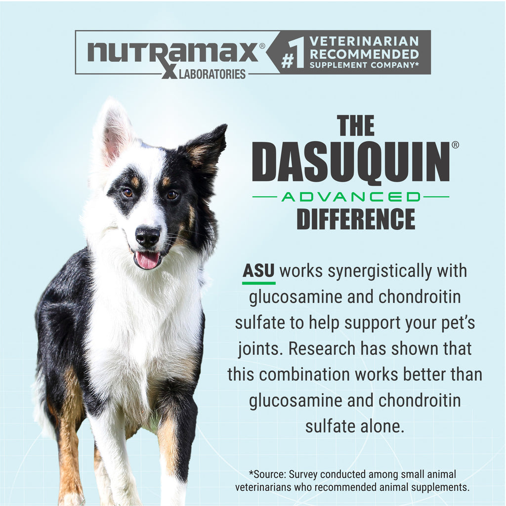 Nutramax Dasuquin Advanced with Eggshell Membrane, 64ct Chewable Tablets