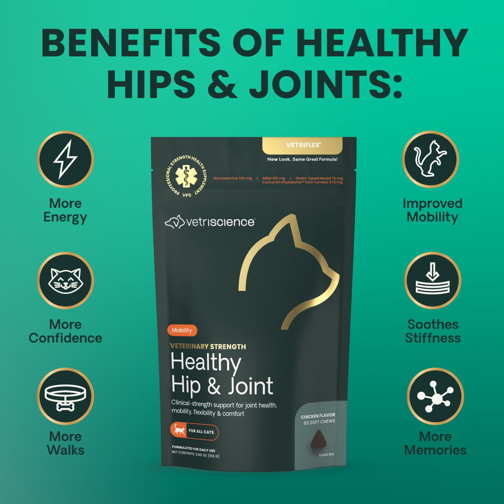 Vetriscience Veterinary Strength Healthy Hip & Joint (VetriFlex) Chews for Cats, 60ct