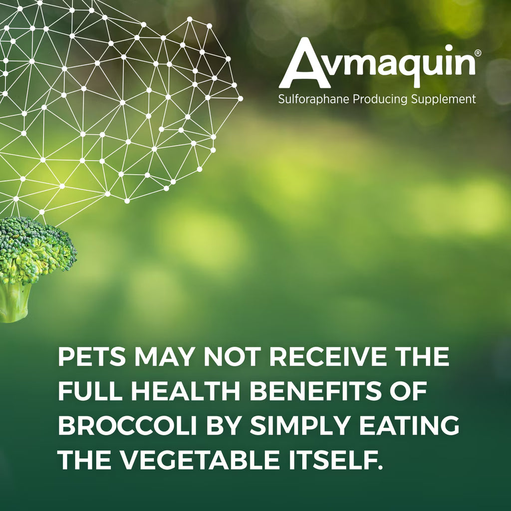 Nutramax Avmaquin Tablets for Dogs, 45ct