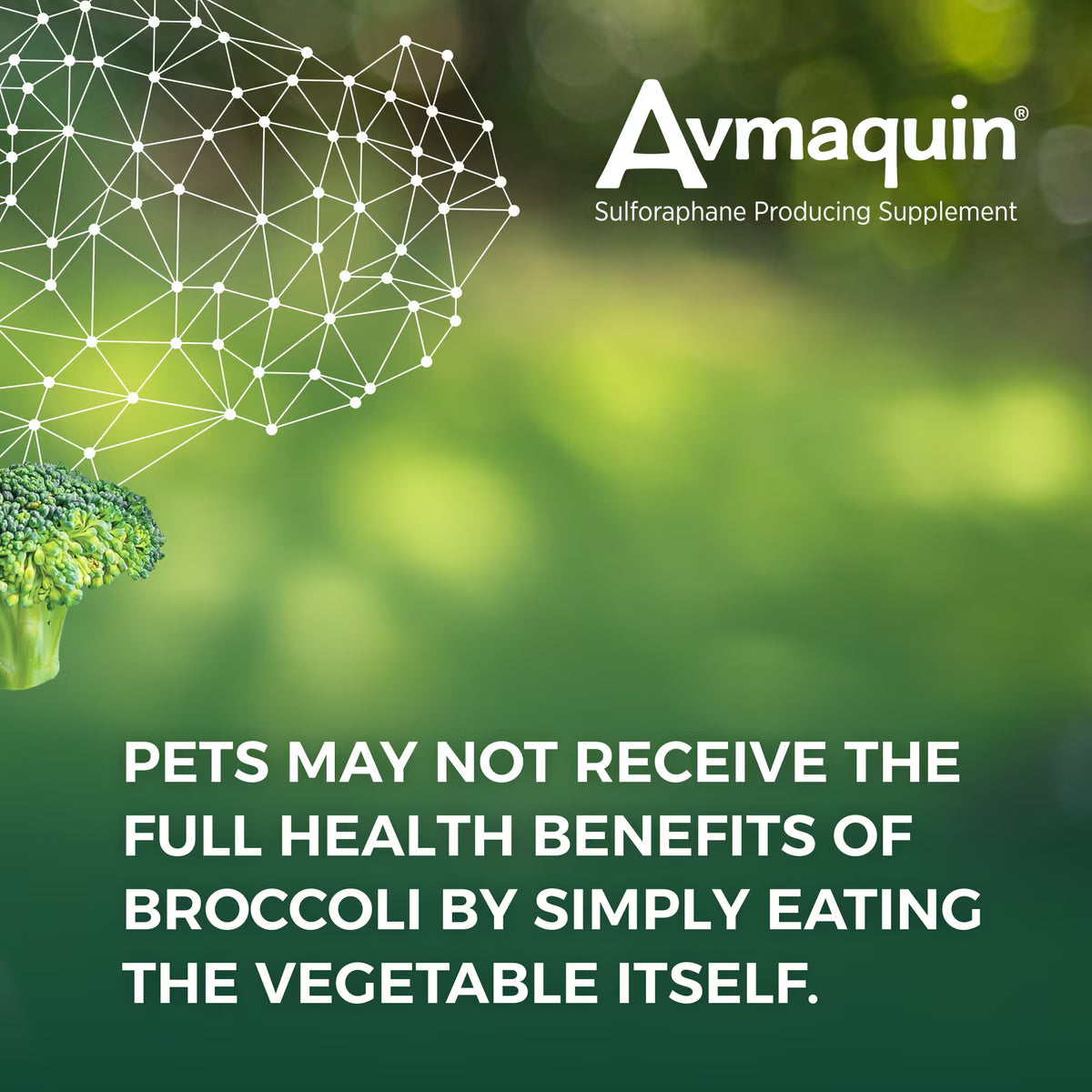 Nutramax Avmaquin Tablets for Dogs, 45ct