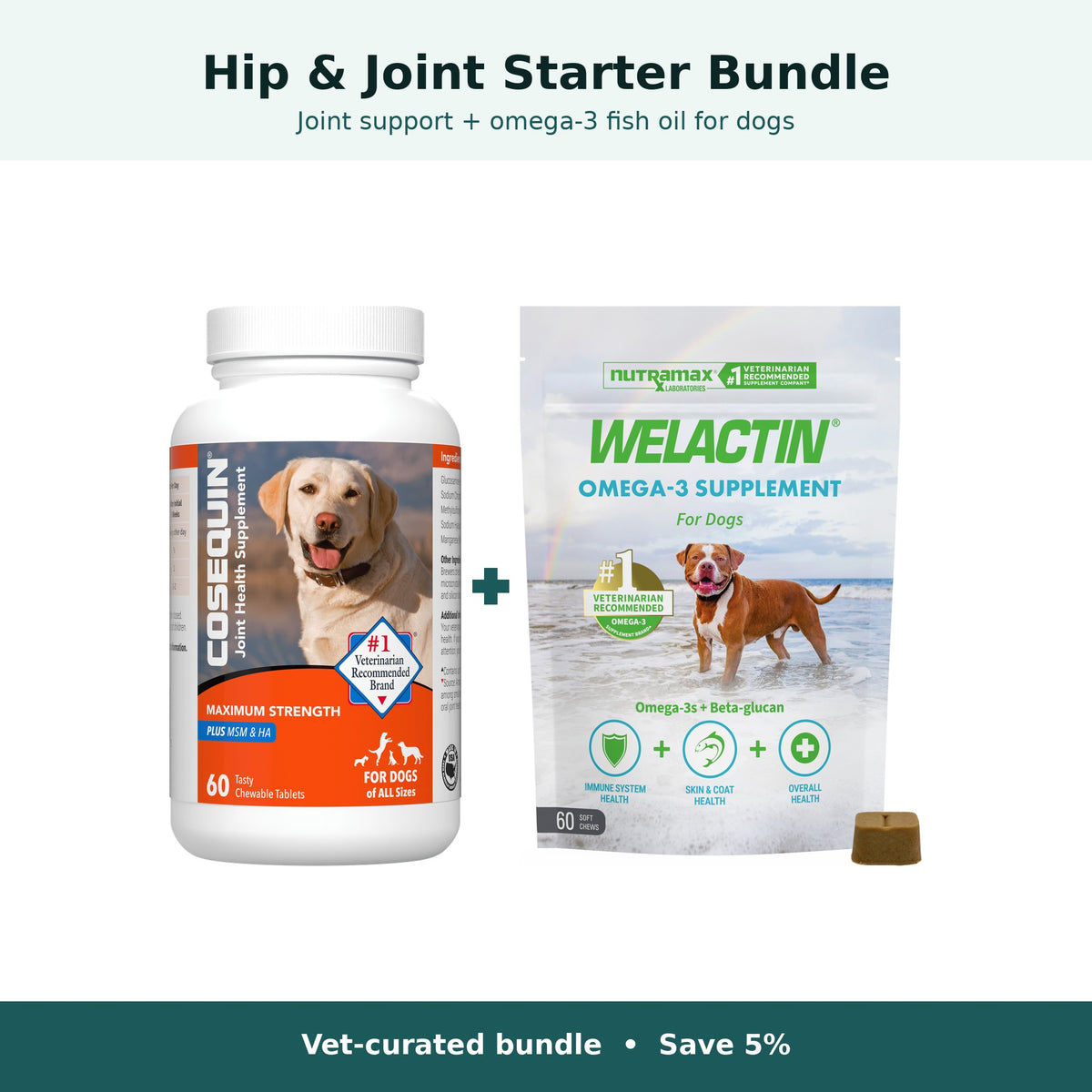 Hip and Joint Starter Bundle for Dogs: Nutramax Cosequin DS Maximum Strength Plus MSM and HA plus Welactin Omega-3 Soft Chews