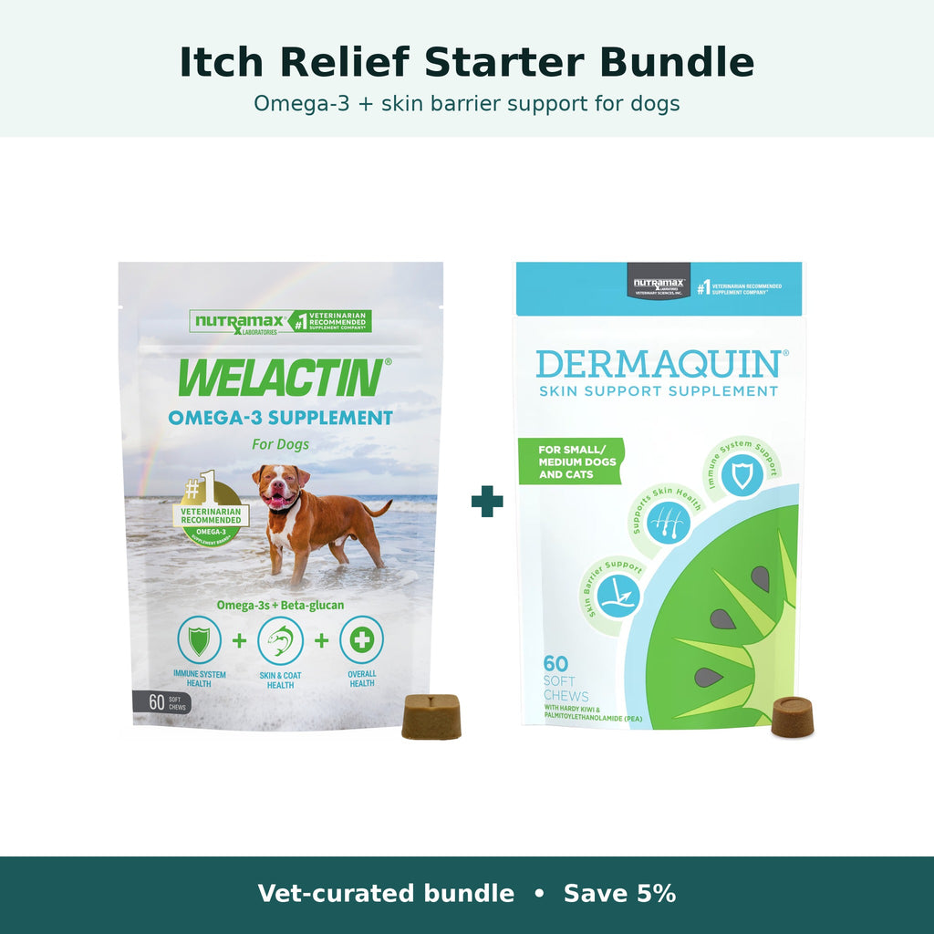 Itch Relief Starter Bundle for dogs up to 30 lb: Nutramax Welactin Omega-3 plus Dermaquin Soft Chews