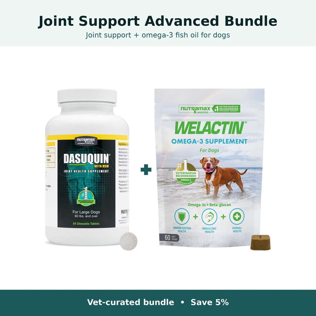 Joint Support Advanced Bundle for dogs 60 lb and over: Nutramax Dasuquin with MSM plus Welactin Omega-3 Soft Chews