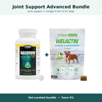 Joint Support Advanced Bundle for dogs up to 59 lb: Nutramax Dasuquin with MSM plus Welactin Omega-3 Soft Chews