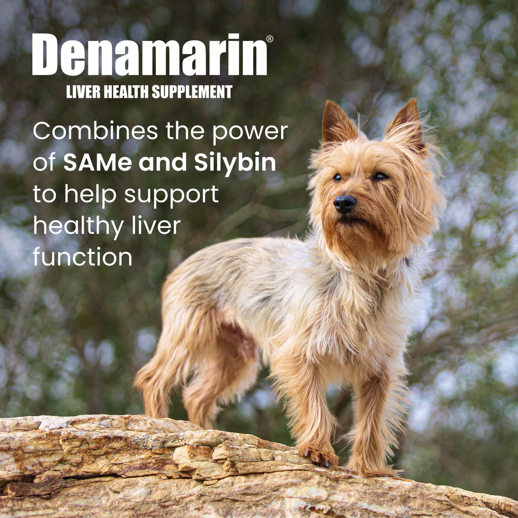 Nutramax Denamarin Enteric Coated Tablets, 30ct