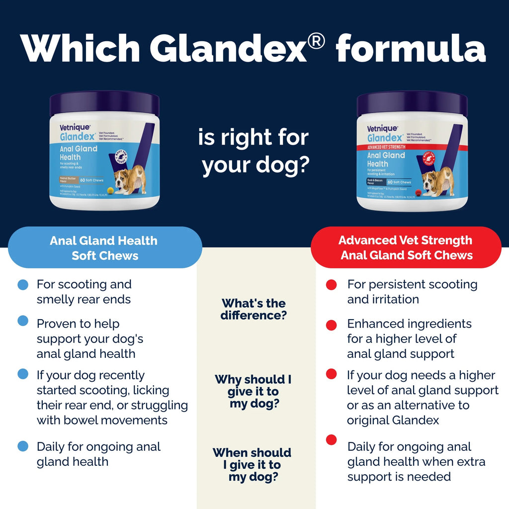 Glandex Soft Chews For Dogs: Peanut Butter, 60ct