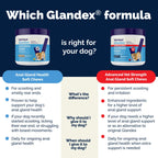 Glandex Anal Gland & Fiber Soft Chews for Dogs, Peanut Butter, 60 ct