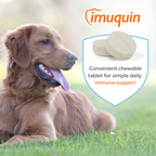 Nutramax Imuquin Immune Support Sprinkle Capsules for Dogs, 30 ct