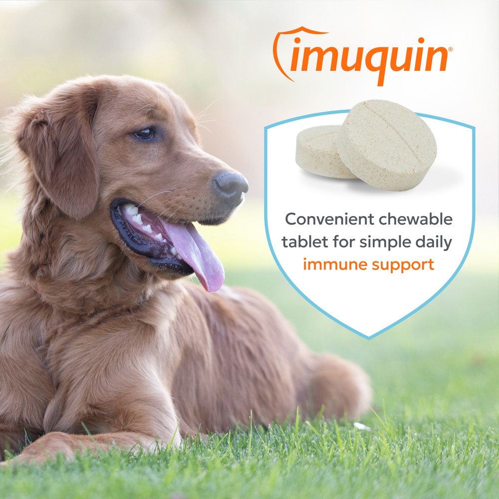 Nutramax Imuquin Chewable Tablets for Dogs, 30ct