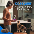 Nutramax Cosequin Joint Health Soft Chews for Cats, 60 ct
