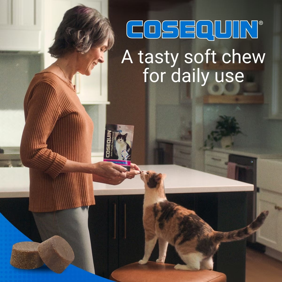 Nutramax Cosequin Soft Chews for Cats, 60ct