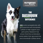 Nutramax Dasuquin with MSM Joint Chewable Tablets for Dogs, 84 ct