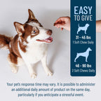 Nutramax Solliquin Calming Soft Chews for Dogs & Cats, 75 ct