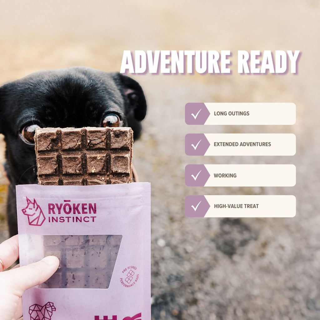 Ryōken Treat & Snack Bar for Active Dogs: Energy & Recovery