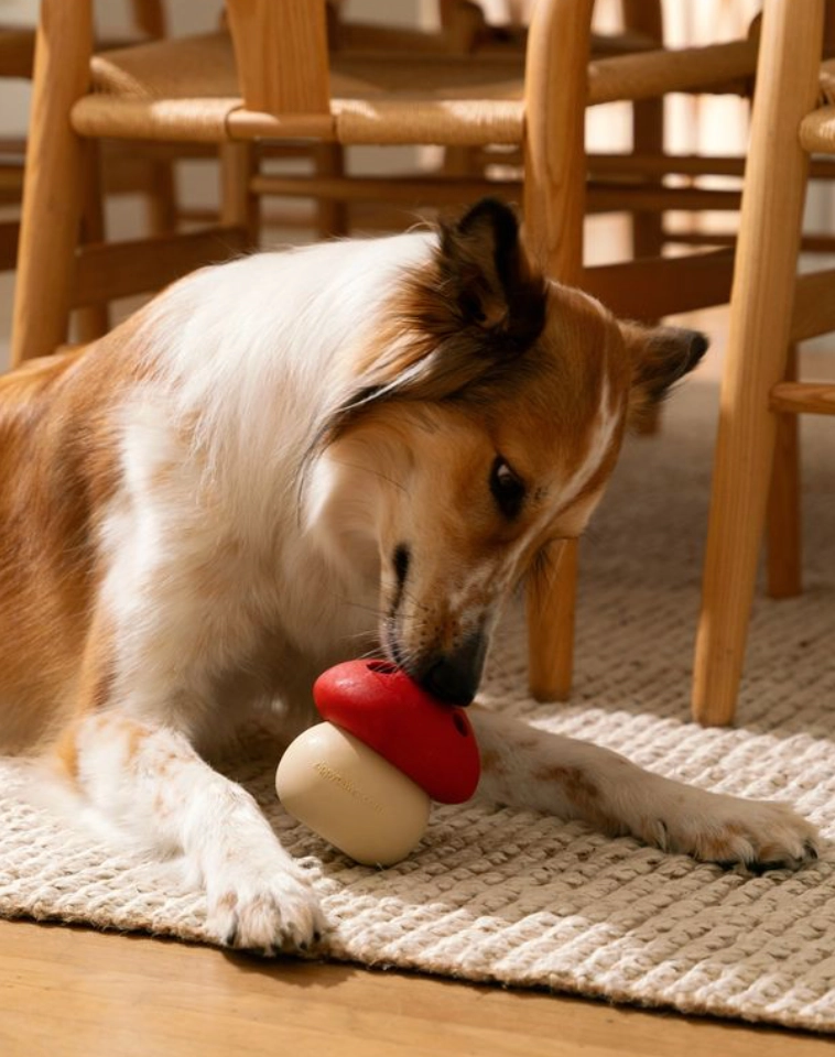 Smartypaws Tumbler Interactive Dog Toy